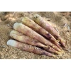 Măng Trúc Nguyên Vỏ Chua Cay Tứ Xuyên - Ăn Vặt Tiểu Đồng Giá chỉ 37.000₫ 7