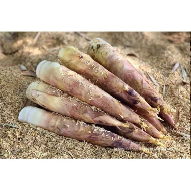 Măng Trúc Nguyên Vỏ Chua Cay Tứ Xuyên - Ăn Vặt Tiểu Đồng Giá chỉ 37.000₫