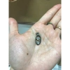 Mặt dây chuyền hình trụ sang trọng, giảm giá chỉ 25.000đ, đẹp tinh tế, giá tốt 6