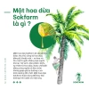Mật hoa dừa Sokfarm Organic, khoáng chất, ổn định đường huyết 250g - 150.000 VND 5