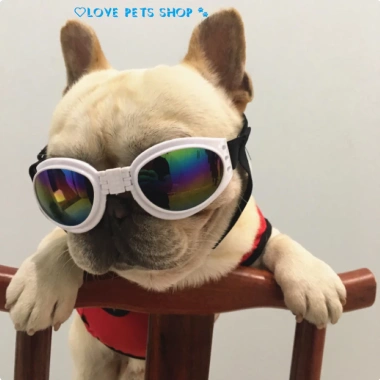 Mắt kính chó chống UV, dây quàng chắc chắn, bảo vệ mắt - 45.000₫ Love Pets Shop 8