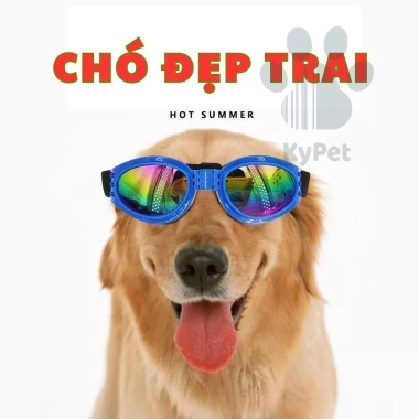 Mắt kính thú cưng cao cấp UV chống bụi, gấp gọn tiện du lịch đường xa - 45k