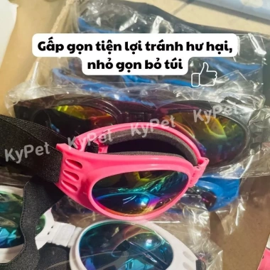 Mắt kính thú cưng cao cấp UV chống bụi, gấp gọn tiện du lịch đường xa - 45k