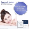 Mặt Nạ Derm All Matrix Mẫu Mới Nhất 4 Miếng Dưỡng Da Giảm Nếp Nhăn Chỉ 340.000đ 2