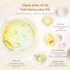 Mặt nạ ngủ collagen 4ml 20 miếng - Cải thiện da thô ráp, thu nhỏ lỗ chân lông, giá 260k 8