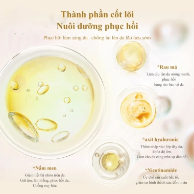 Mặt nạ ngủ collagen 4ml 20 miếng - Cải thiện da thô ráp, thu nhỏ lỗ chân lông, giá 260k