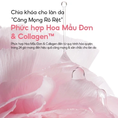 Mặt Nạ Ngủ Laneige Bouncy & Firm 60ml - Tăng Collagen, Săn Chắc Da, Giá 820.000 VND
