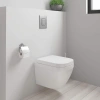 Mặt nạ xả nước bồn cầu âm tường Grohe - Mặt xả nhấn khí nén 38.732.000, giá ưu đãi 1.125.674 VND 6