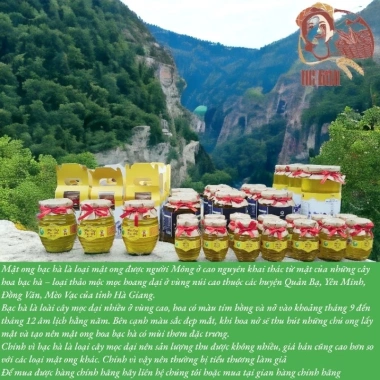 Mật Ong Bạc Hà Hà Giang OCOP Chính Hãng - VietGAP, Giá Tốt 200k/Chai 1L 3 Mật Ong Bạc Hà Hà Giang OCOP Chính Hãng - VietGAP, Giá Tốt 200k/Chai 1L 3