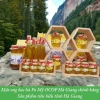 Mật Ong Bạc Hà Hà Giang OCOP Chính Hãng - VietGAP, Giá Tốt 200k/Chai 1L 6