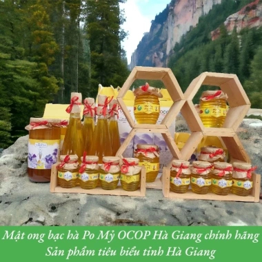 Mật Ong Bạc Hà Hà Giang OCOP Chính Hãng - VietGAP, Giá Tốt 200k/Chai 1L 6 Mật Ong Bạc Hà Hà Giang OCOP Chính Hãng - VietGAP, Giá Tốt 200k/Chai 1L 6