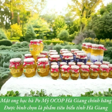 Mật Ong Bạc Hà Hà Giang OCOP Chính Hãng - VietGAP, Giá Tốt 200k/Chai 1L 7 Mật Ong Bạc Hà Hà Giang OCOP Chính Hãng - VietGAP, Giá Tốt 200k/Chai 1L 7