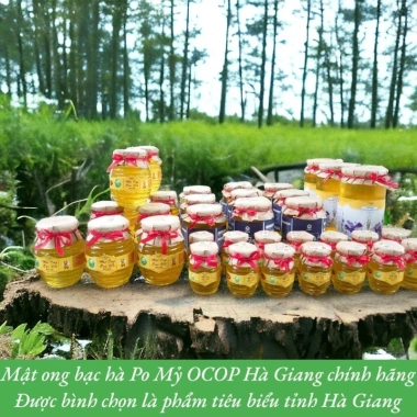 Mật Ong Bạc Hà Nguyên Chất OCOP Hà Giang 500ml Giá Rẻ Chỉ 200k 7