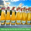 Mật Ong Bạc Hà Nguyên Chất OCOP Hà Giang 500ml Giá Rẻ Chỉ 200k 12