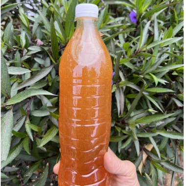 Mật Ong Bìa Rừng Tây Bắc 1 Lít - Thơm ngon, đặc sánh, vị ngọt tự nhiên, giá ưu đãi 300.000 VND Mật Ong Bìa Rừng Tây Bắc 1 Lít - Thơm ngon, đặc sánh, vị ngọt tự nhiên, giá ưu đãi 300.000 VND