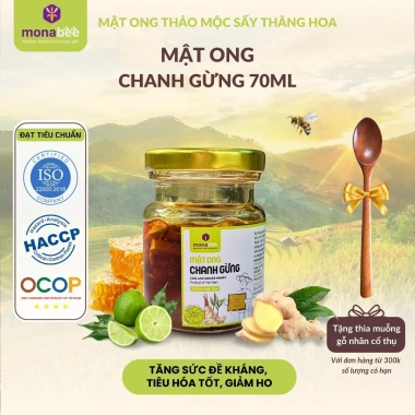 Mật ong chanh gừng sấy thăng hoa Monabee - Giảm cân, làm đẹp, dưỡng da 10