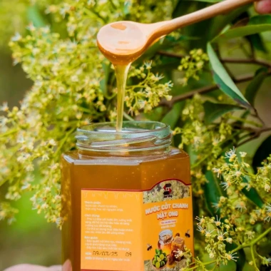 Mật Ong Chanh Nguyên Chất 500ml - Giảm Đau Họng, Tăng Sức Khỏe, 175.000 VNĐ 4
