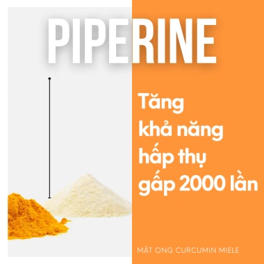 Mật Ong Curcumin Miele Premium 700g – Tốt Dạ Dày, Tăng Đề Kháng, Giá Giảm 520k 4 Mật Ong Curcumin Miele Premium 700g – Tốt Dạ Dày, Tăng Đề Kháng, Giá Giảm 520k 4