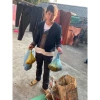 Mật Ong Đá Đầu Mùa Lai Châu Chính Hãng - Thơm Chuẩn, Giảm Giá 150.000 VNĐ 9