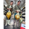 Mật Ong Đá Đầu Mùa thơm đặc – Combo giá sỉ 182.750đ, giảm ngay, tăng sức đề kháng, năng lượng tự nhiên 5