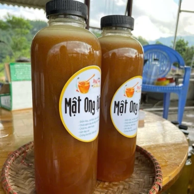 Mật Ong Đá Đầu Mùa thơm đặc – Combo giá sỉ 182.750đ, giảm ngay, tăng sức đề kháng, năng lượng tự nhiên 7
