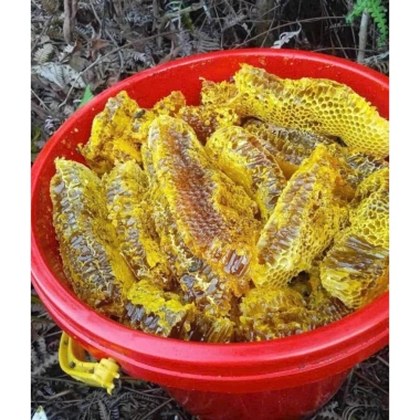 Mật ong đá nguyên tổ 1kg - Nguyên chất, tăng sức đề kháng, chỉ 199.000đ