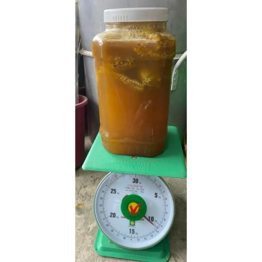 Mật ong đá nguyên tổ 1kg - Nguyên chất, tăng sức đề kháng, chỉ 199.000đ