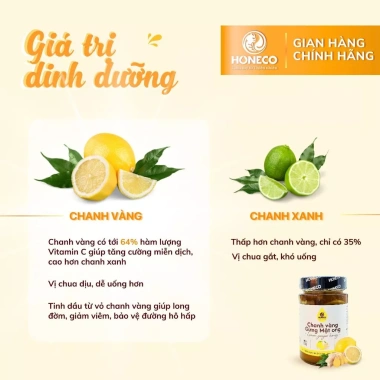 Mật Ong Gừng Chanh Vàng Honeco 500g - Giá 289k, Bảo Vệ Ho, Viêm Họng, Hạ Sốt 4