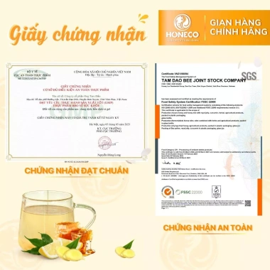 Mật Ong Gừng Chanh Vàng Honeco 500g - Giá 289k, Bảo Vệ Ho, Viêm Họng, Hạ Sốt 5