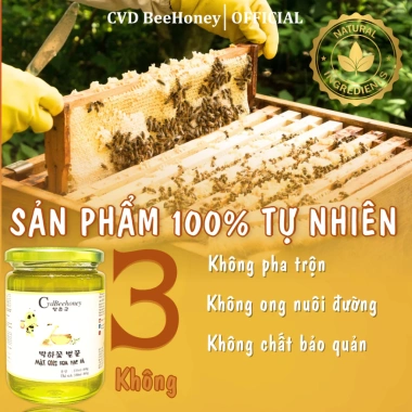 Mật ong Hoa Bạc Hà Nguyên Chất CVDBEEHONEY 600g - Tăng đề kháng, phục hồi sức khỏe, đẹp da, giá chỉ 48.000₫ 3