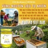 Mật ong Hoa Bạc Hà Nguyên Chất CVDBEEHONEY 600g - Tăng đề kháng, phục hồi sức khỏe, đẹp da, giá chỉ 48.000₫ 4