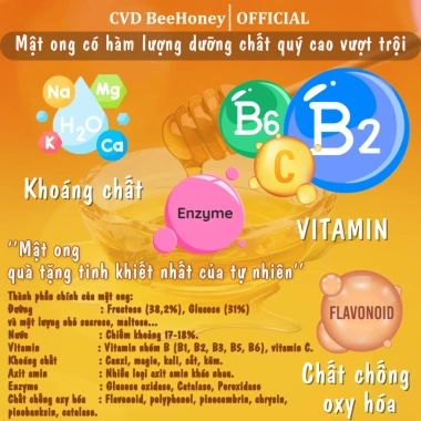 Mật ong Hoa Bạc Hà Nguyên Chất CVDBEEHONEY 600g - Tăng đề kháng, phục hồi sức khỏe, đẹp da, giá chỉ 48.000₫ 5