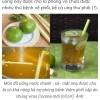 Mật ong hoa cà phê 1 lít nguyên chất - Tăng năng lượng, giảm giá 75.000 VND 2