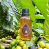 Mật ong hoa cà phê Đaklak 30ml - Dùng thử, chỉ 28.000 VNĐ, hương vị tự nhiên 2