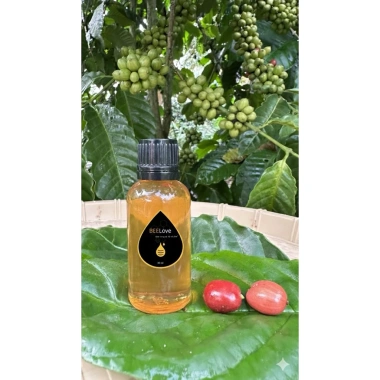 Mật ong hoa cà phê Đaklak 30ml - Dùng thử, chỉ 28.000 VNĐ, hương vị tự nhiên