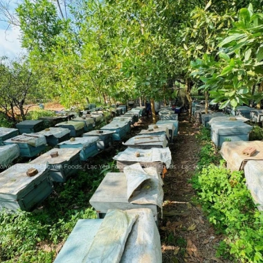 Mật Ong Hoa Nhãn Lạc Yên Foods Nguyên Chất 100% Chai Úp Ngược Tiện Lợi Giá 153.000 VND 3