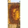 Mật ong hoa nhãn nguyên chất 0.5L Hoà Bình Honey - 500ml, chất lượng cao, giảm giá 156.900 VND 6