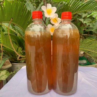 Mật Ong Hoa Nhãn Thơm Ngon Bổ Dưỡng - Giá Giảm Sốc 216.600₫, Dùng Cho Nhiều Món Ăn 3