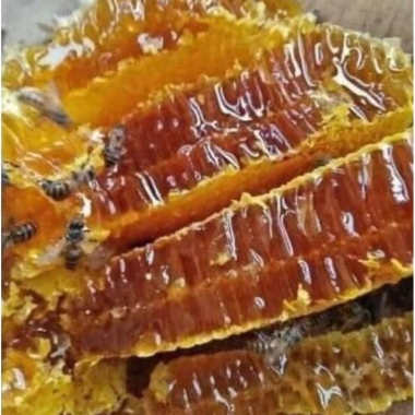 Mật ong hoa rừng cà phê Bá Lộc 700g - Giá giảm còn 130.000 - Dinh dưỡng tự nhiên 6