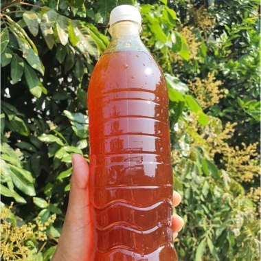 Mật ong hoa vải Thanh Hà - Hải Dương 100% nguyên chất, thơm ngọt, giảm còn 80.000 VND 4