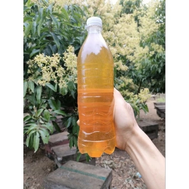 Mật ong hoa vải thiều 1L Nguyên chất 100% Giá sỉ 143.750, giảm còn 115.000