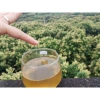 Mật ong hoa vải thiều 1L Nguyên chất 100% Giá sỉ 143.750, giảm còn 115.000 4