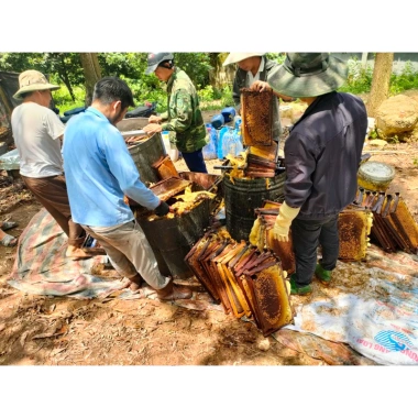 Mật ong hoa vải Thiều Lục Ngạn Bắc Giang 1L - Giàu dinh dưỡng, giảm giá 95k