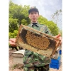 Mật ong hoa vải Thiều Lục Ngạn Bắc Giang 1L - Giàu dinh dưỡng, giảm giá 95k 5