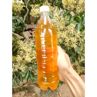 Mật ong hoa vải Thiều Lục Ngạn Bắc Giang 1L - Giàu dinh dưỡng, giảm giá 95k