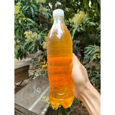 Mật ong hoa vải Thiều Lục Ngạn Bắc Giang 1L - Giàu dinh dưỡng, giảm giá 95k