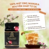 Mật Ong Manuka Eco MGO 550+ Nhập Khẩu Úc – Hỗ Trợ Tiêu Hóa, Hô Hấp, Viêm Da – Giá 836.640₫ 3