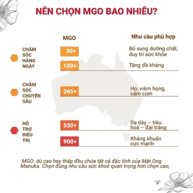 Mật Ong Manuka Eco MGO 550+ Nhập Khẩu Úc – Hỗ Trợ Tiêu Hóa, Hô Hấp, Viêm Da – Giá 836.640₫