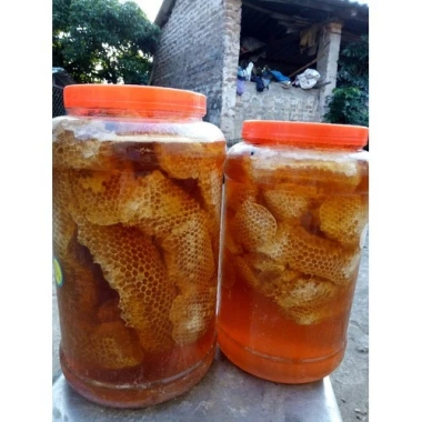 Mật ong nguyên tổ 500g hoa cà phê nguyên chất - Giá giảm 99.000 VNĐ