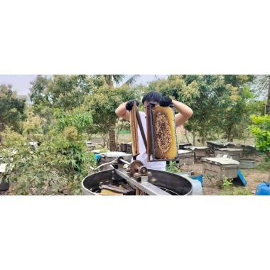 Mật Ong Rừng Đa Hoa 5L - Combo 1 L Tặng, Chuẩn 100%, Giá Sỉ 439k 6